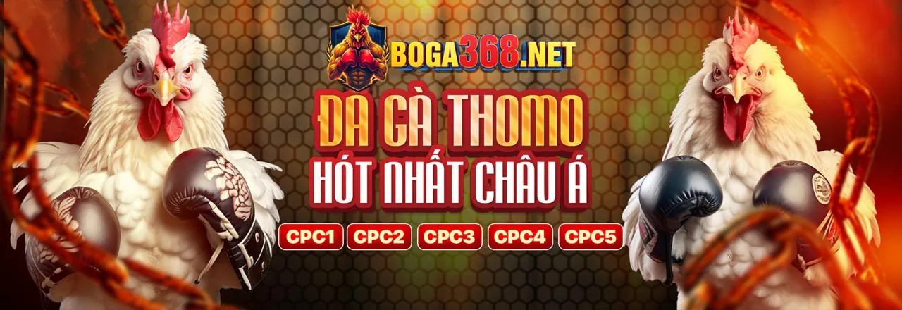 Giao diện cá cược thể thao 88daga